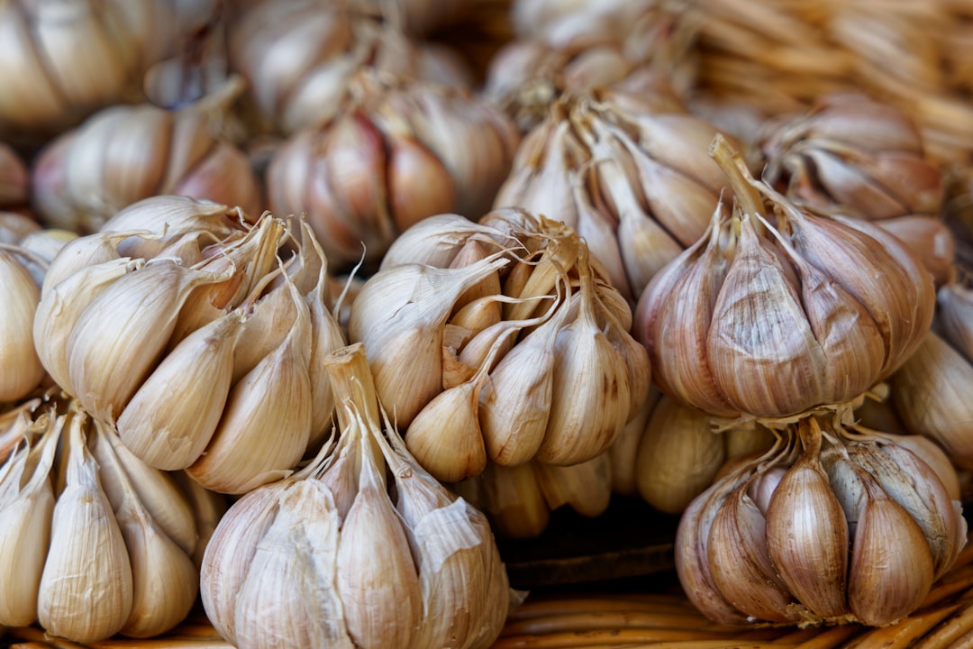 Garlic.