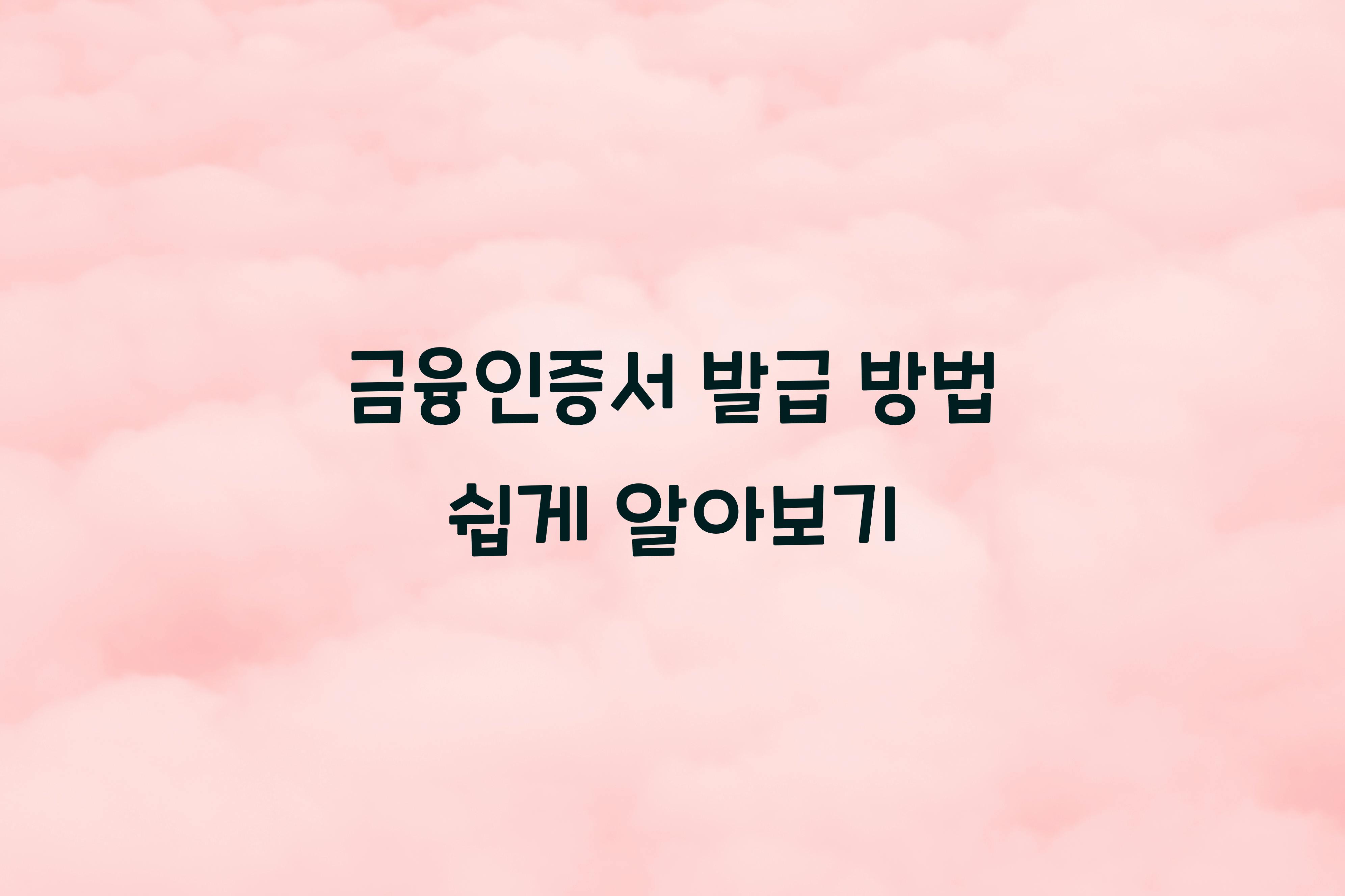 금융인증서 발급 방법