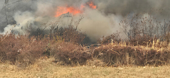 노후된 산불 진화 헬기, 생명을 지키려다 생명을 잃다