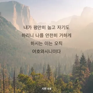 시편 4장 8절 읽기 - 내가 평안히 눕고 자기도 하리니 나를 안전히 살게 하시는 이는 오직 여호와시니이다_6