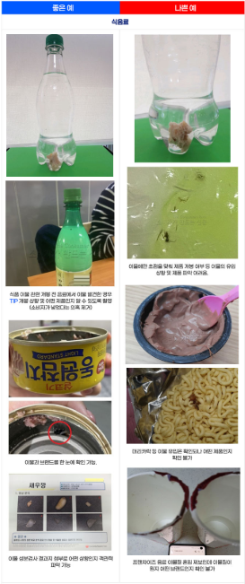 소비자-고발센터