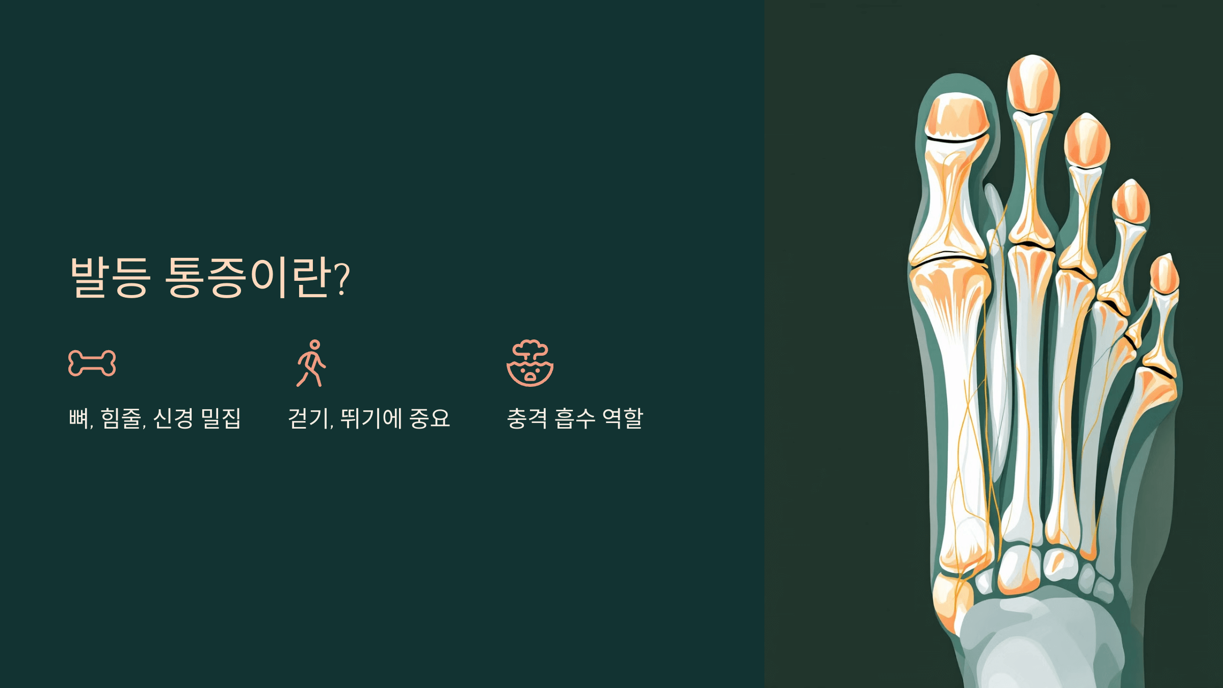 발등 사진입니다.