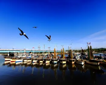 소래포구 축제_3