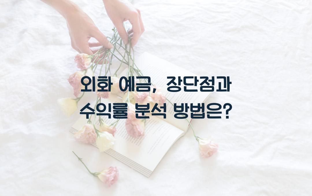 외화 예금, 장단점과 수익률 분석