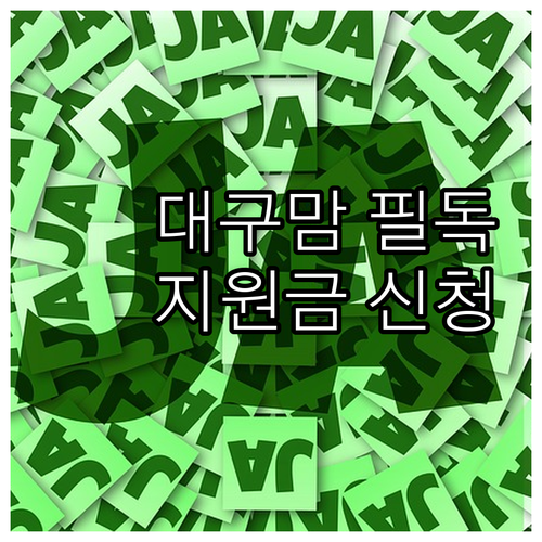 대구시 산모를 위한 2025년 지원금..