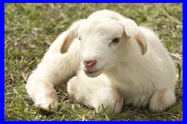 2021년 삼재띠 의미