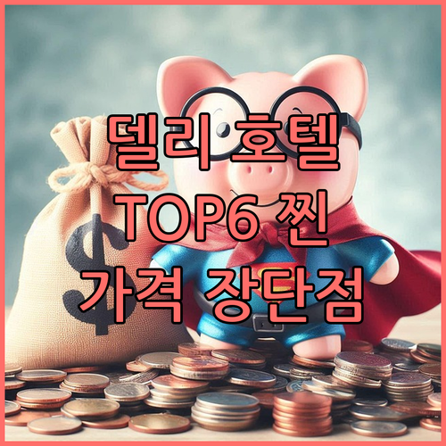 델리 호텔 TOP6 찐후기 가격 장단