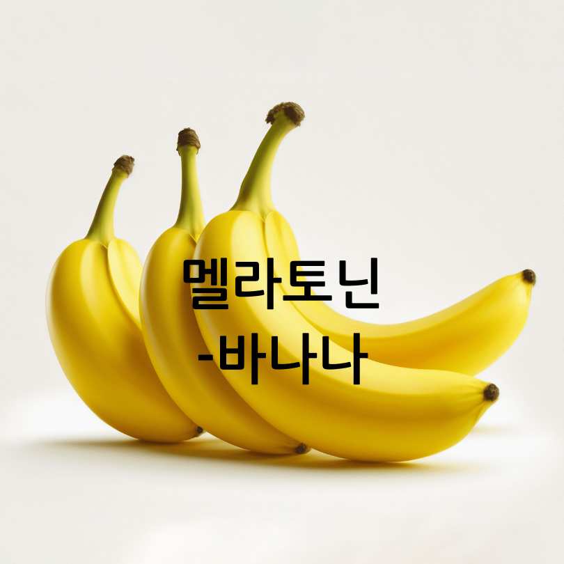 멜라토닌 많은 음식 10가지