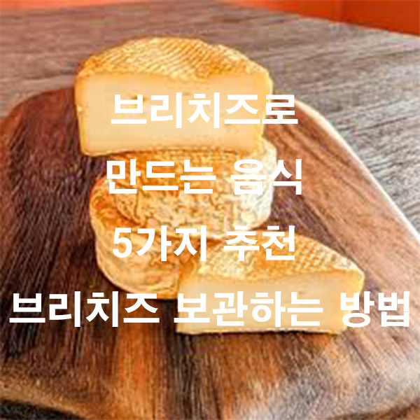 브리치즈로 만드는 음식 5가지 추천 브리치즈 보관하는 방법