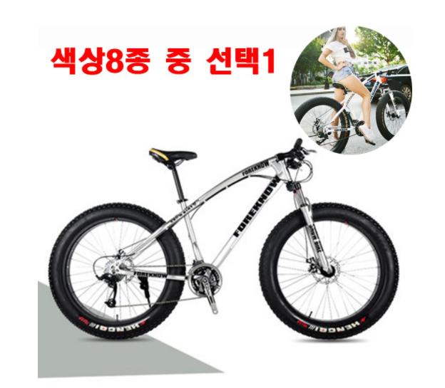 팻바이크 추천