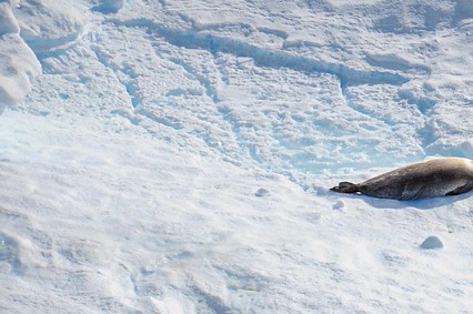 취약계층과 소상공인을 위한 여름철 전기요금 감면 및 할인제도 알아보기