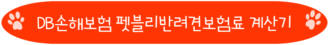 DB손해보험 펫블리반려견보험료 계산