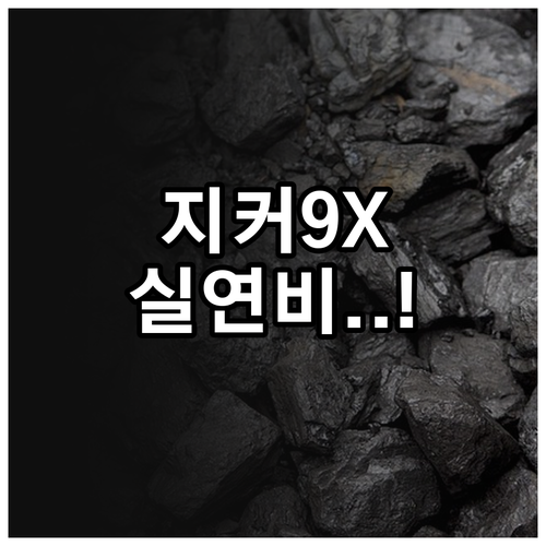 지커 9X 공식 연비 및 실주행 연비..
