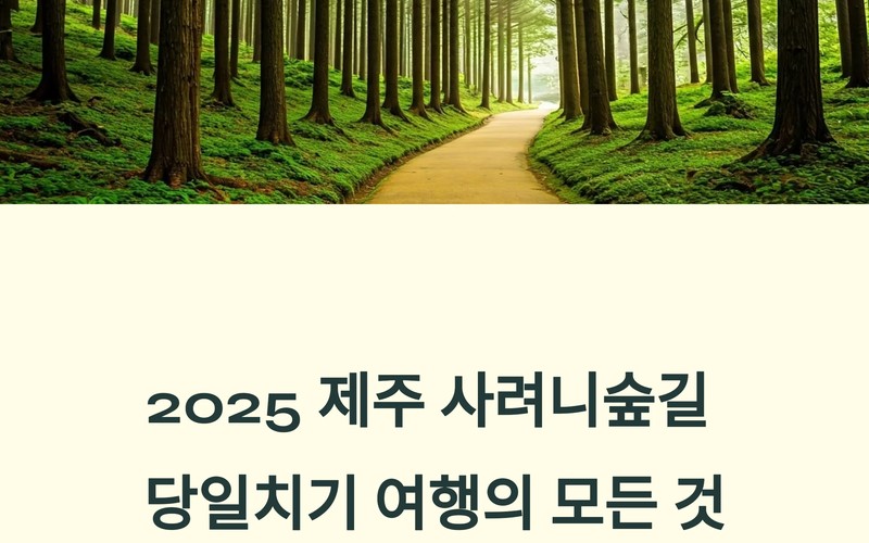 2025 제주 사려니숲길 당일치기 추천 코스와 주차·화장실 실전 팁 -