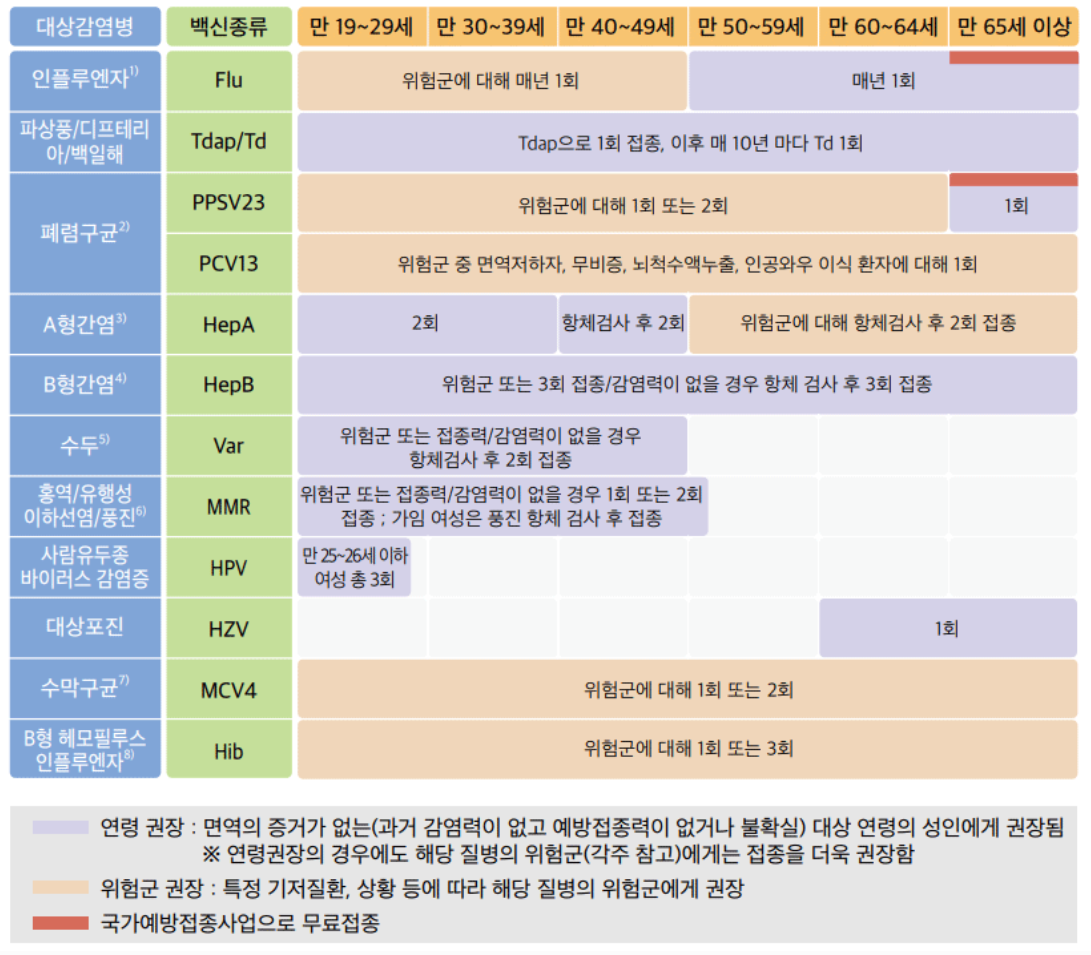 성인-예방접종-일정표