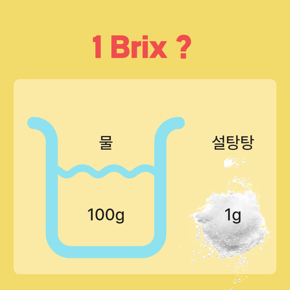 1Brix 브릭스