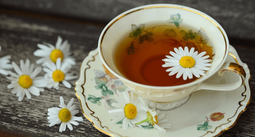 캐모마일 꽃 - 4