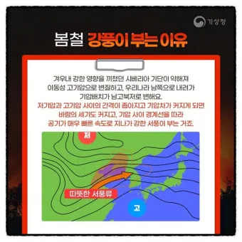 봄철 강풍 꽃가루 농도 알레르기 마스크 관리_3