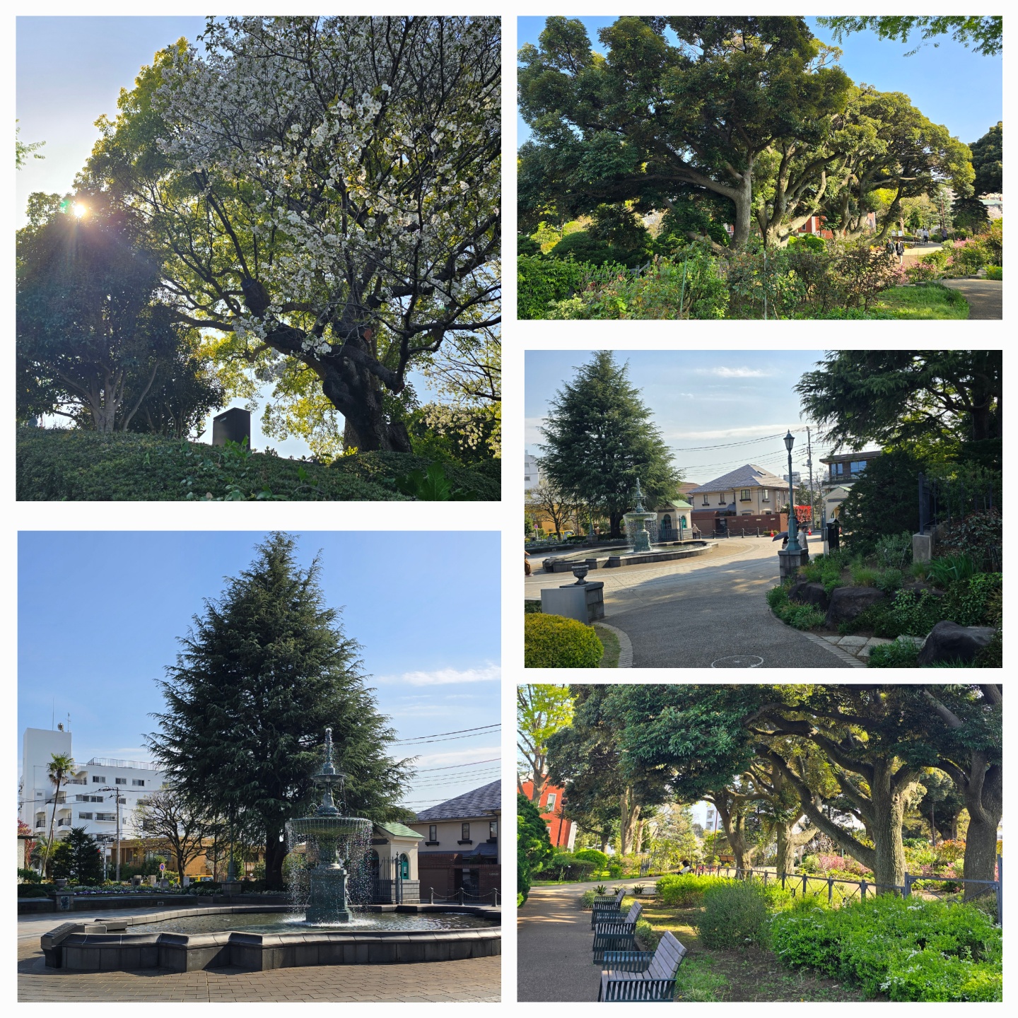 요코하마 하버뷰파크의 정원