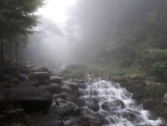 조용한 백패킹 ASMR 속 자연 소리만 담은 여행기