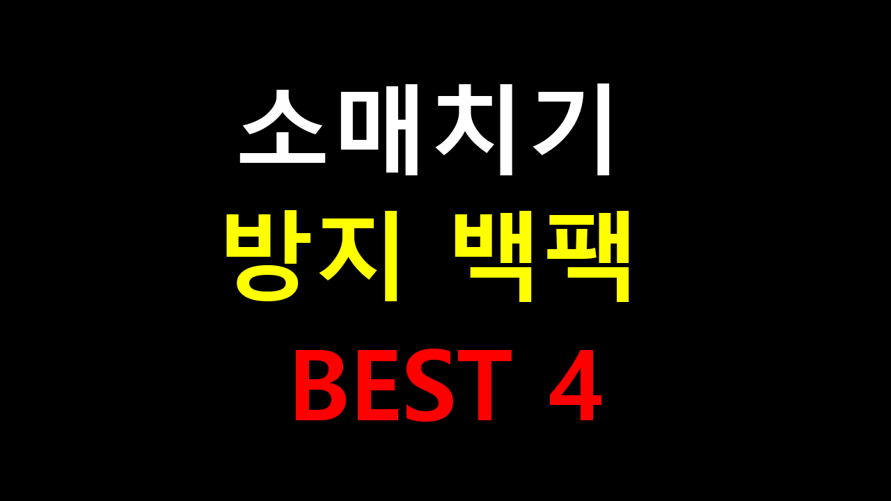 소매치기 방지 백팩 BEST 4