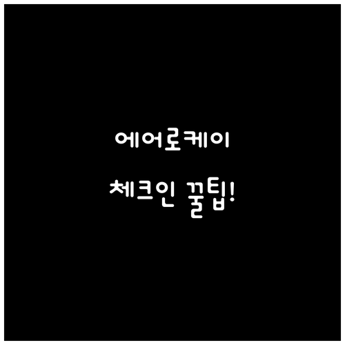 에어로케이 공항 체크인 시간과 준비물..
