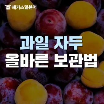자두 보관법 수확시기 효능 자두청 만들기_3