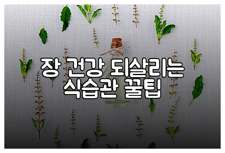 장 건강 되살리는 식습관 꿀팁