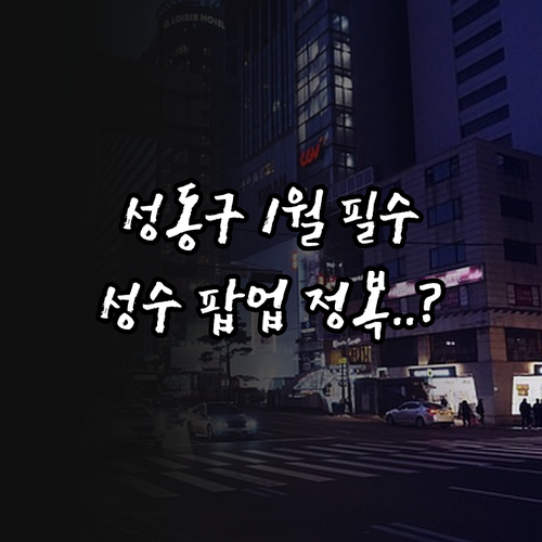 서울 성동구 1월 명소 정보 성수동 ..