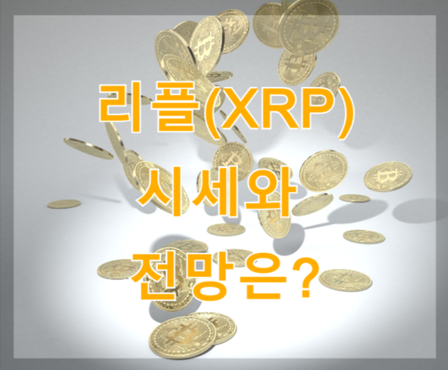 가상화페 금화가 공중에 떠있는 사진에 '리플(XRP) 시세와 전망' 문구
