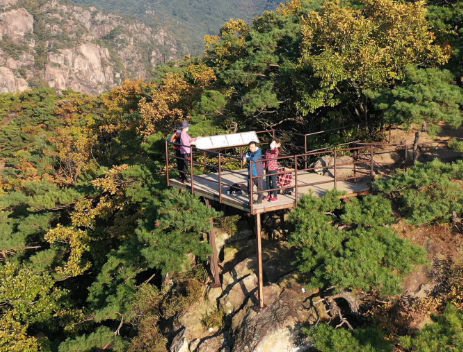 옥순봉 출렁다리 정보 안내