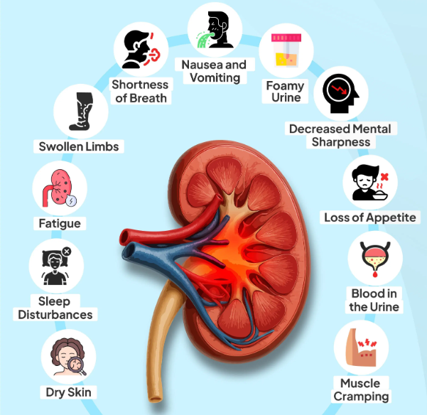 신장기능저하증상