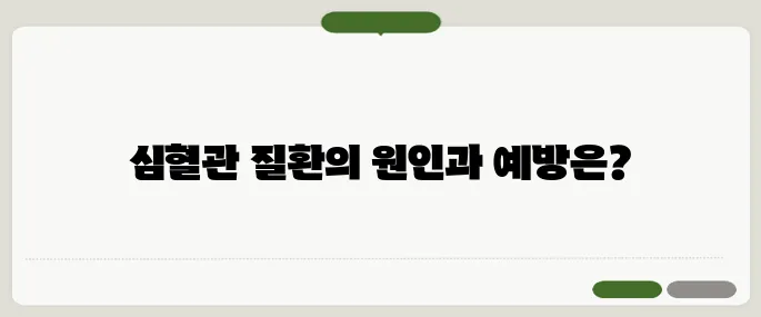 심혈관 질환이란 주요 원인과 예방법