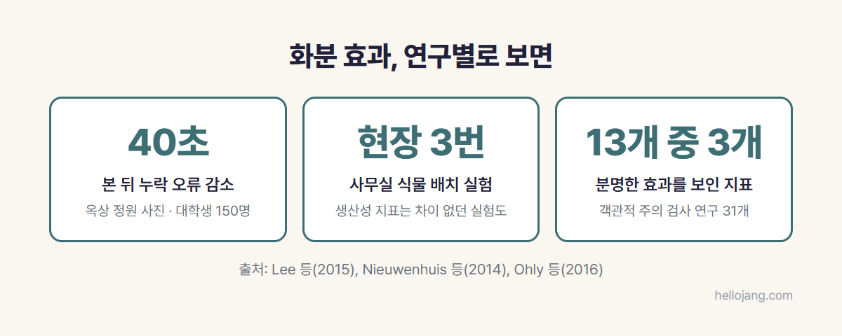 40초 옥상 정원 사진 실험, 사무실 식물 배치 현장 실험 세 건, 13개 주의 지표 중 일부에서만 효과를 보인 체계적 문헌고찰을 비교한 카드 그림