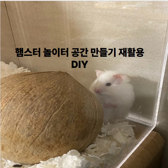 햄스터 놀이터 공간 만들기 재활용 DIY