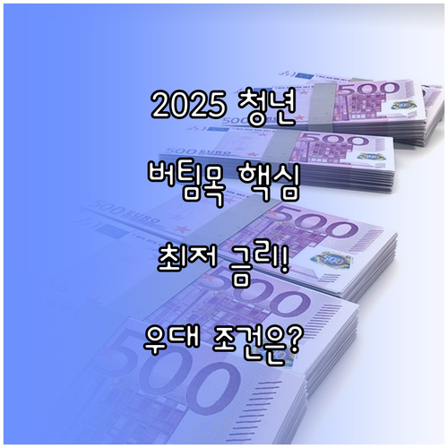 소득 구간별 2025 청년 버팀목 대..