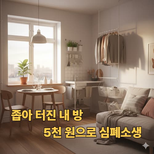 단돈 5천 원으로 원룸 2배 넓히기: 다이소 수납 필수템 정리
