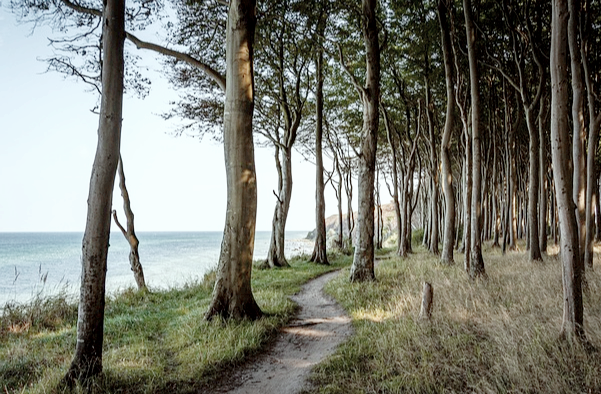 캠핑초보관련사진
