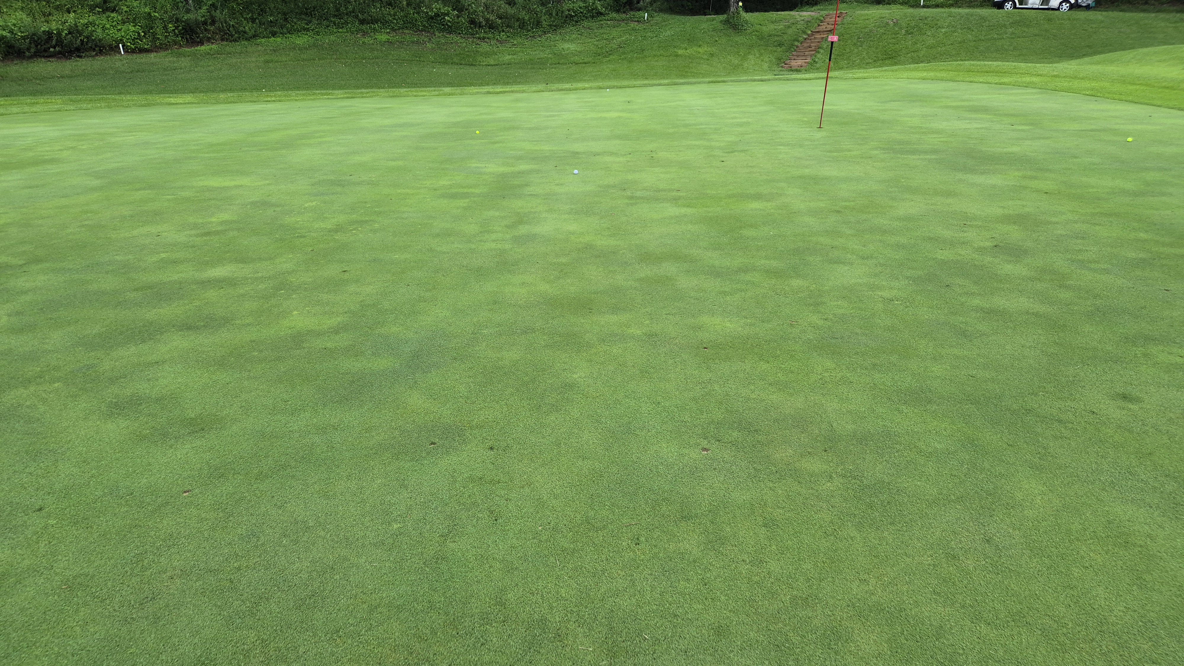 뉴서울cc 예술in-문화in 코스 라운드 후기