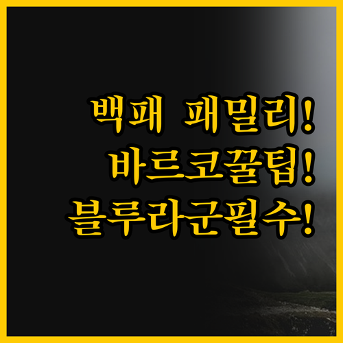 혼자 여행 백패커 추천 바르코 엘니도..