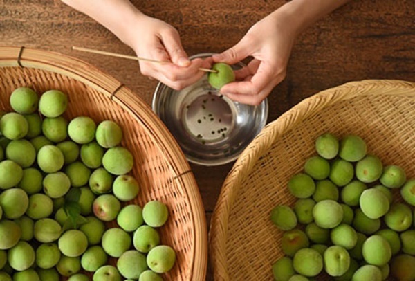 매실 액기스 효능