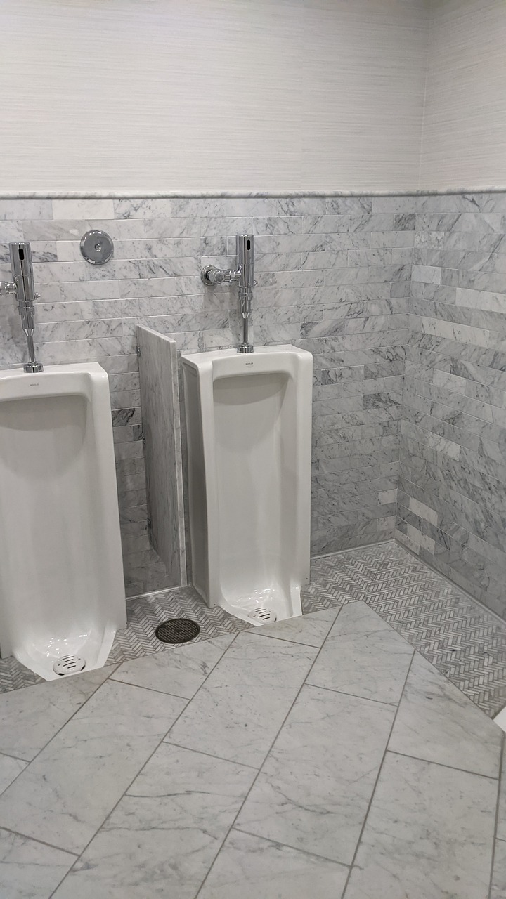 단백뇨 예방과 관리