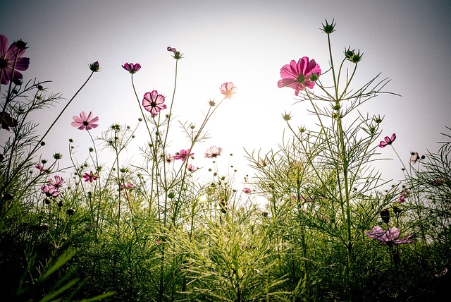 추석 장보기 할인
