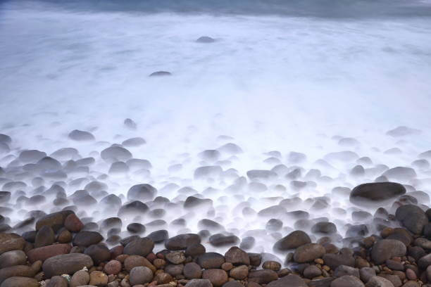 대만 여행지원금 당첨