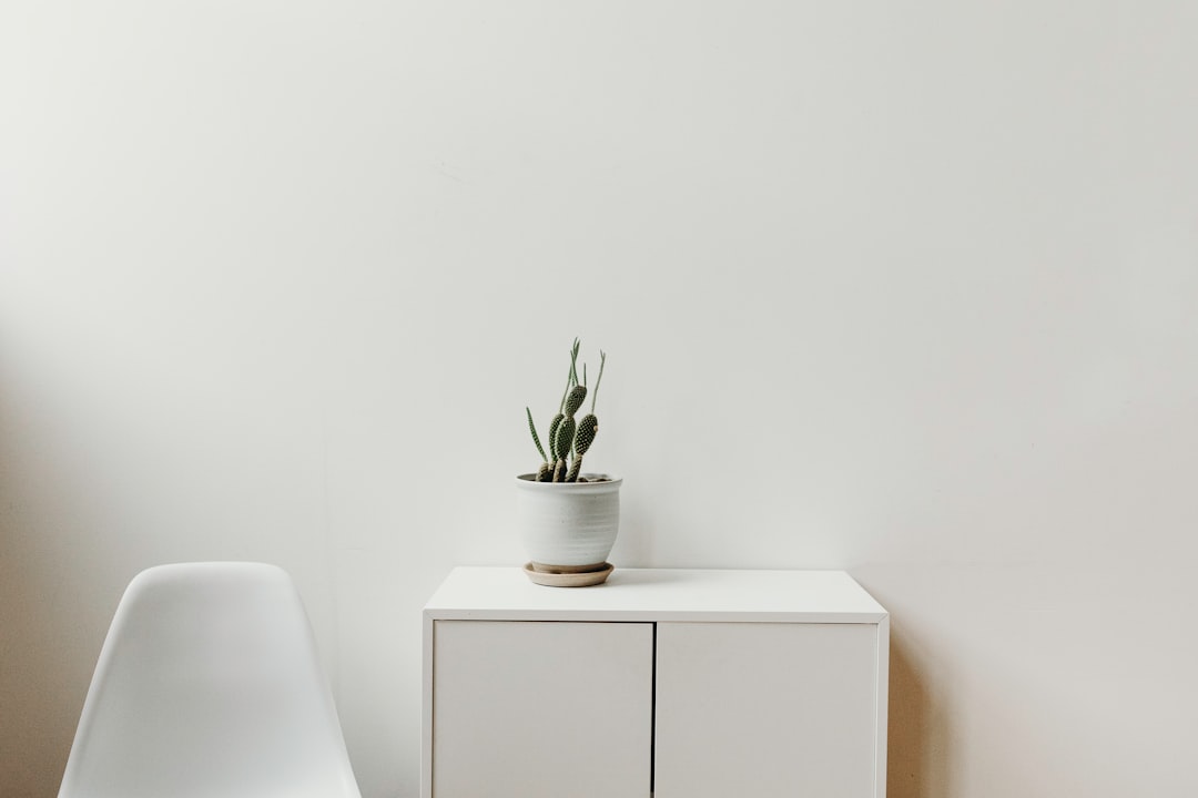 Decor.