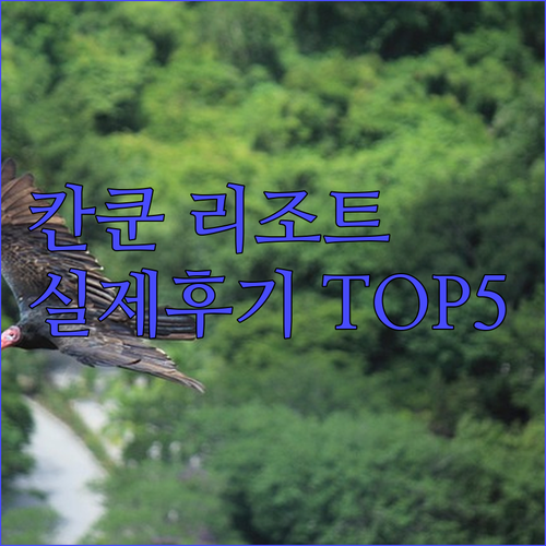 실제 투숙객이 추천하는 칸쿤 리조트 ..