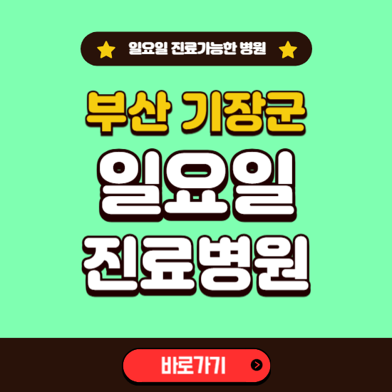 부산 기장군 일요일 진료 가능한 병원 ❘ 주말 문여는 곳 총정리 (소아과, 내과, 안과, 치과, 피부과, 정형외과, 산부인과)