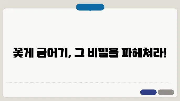 꽃게 금어기