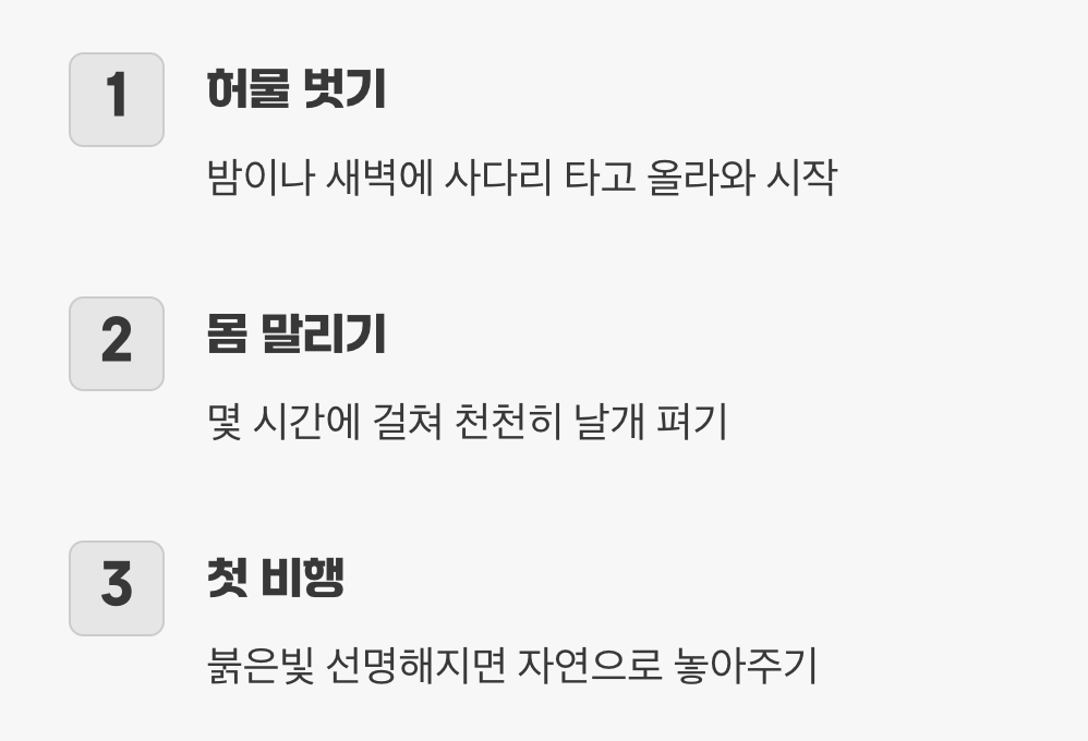 붉은 날개의 첫 비행&amp;#44; 그리고 작별