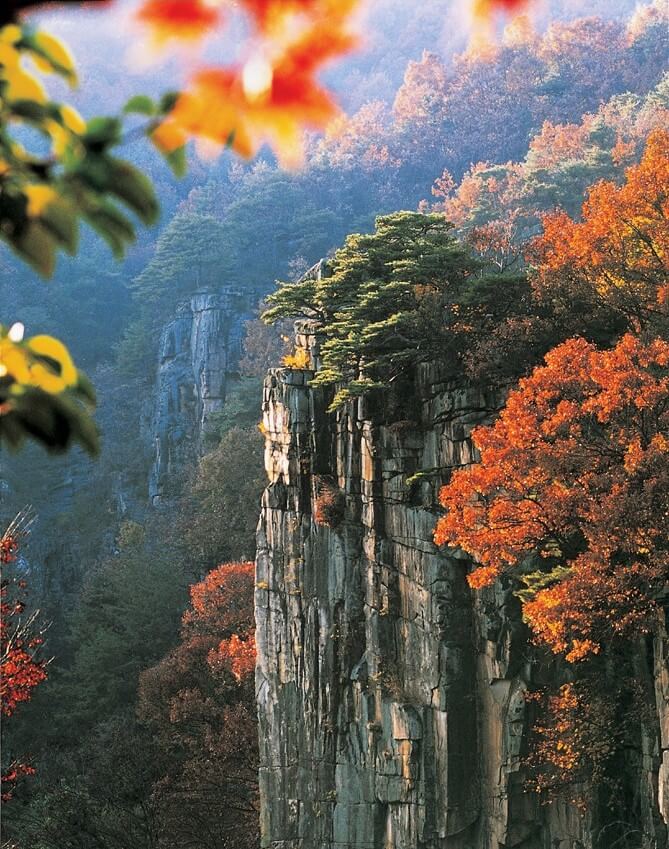 단양 보발재
